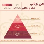 نت ابتدایی، میانی و پایانی آوین استودیو