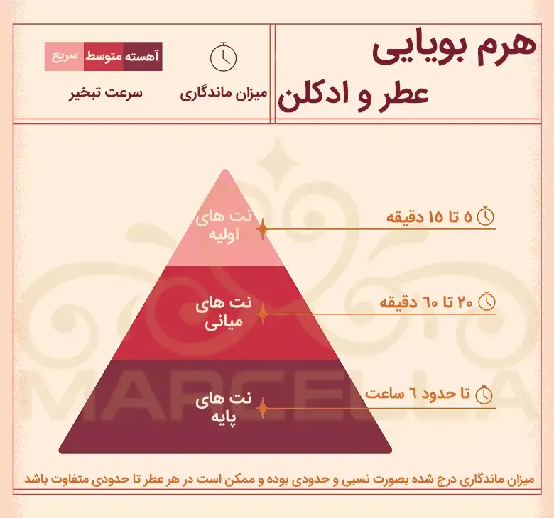 نت ابتدایی، میانی و پایانی آوین استودیو